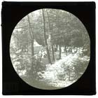 Tivoli Gardens [Lantern Slide ca 1898]
